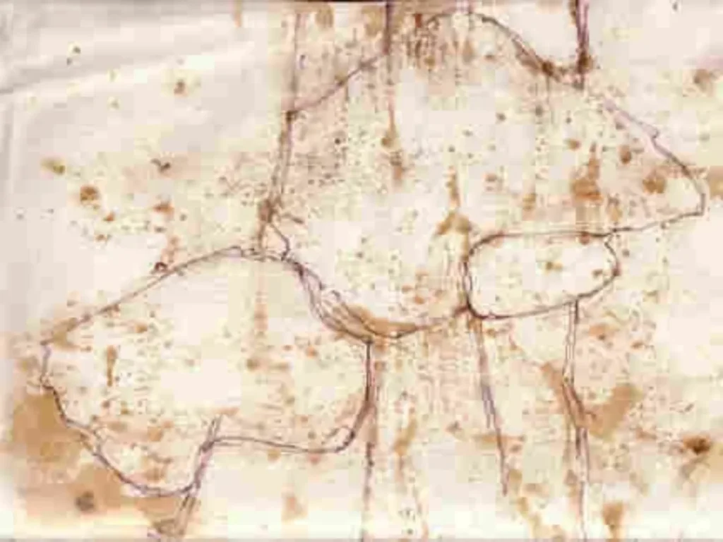 Christeas' Drawings Paris 1967-1969